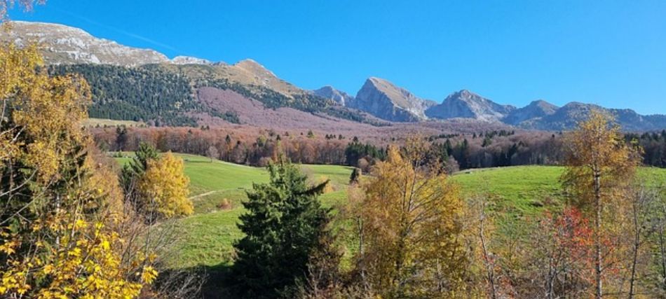 Cansiglio : Automne dans les bois, parmi les cèpes et le brouillard